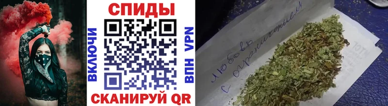 Бутират буратино  Пионерский 