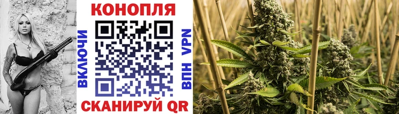 хочу наркоту Пионерский Каннабис VHQ